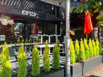 Outdoor dining area of a restaurant named "cotto" with vibrant green shrubs, white chairs, and red umbrellas under a black awning at a culinary retreat.