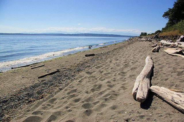 Outdoors: Consider Rediscovering Discovery Park