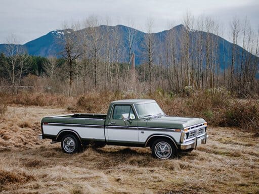 Nelly, a 1976 green F-150