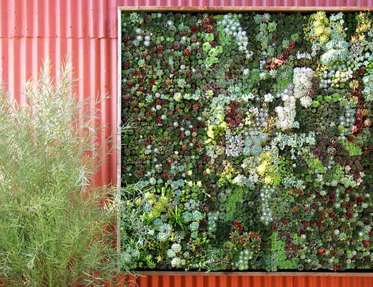 Vertical Garden Art at Ballard Floral Shop Midnight Blossom