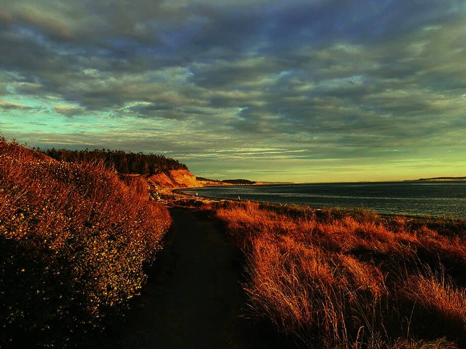 Exploring the Salish Sea Islands