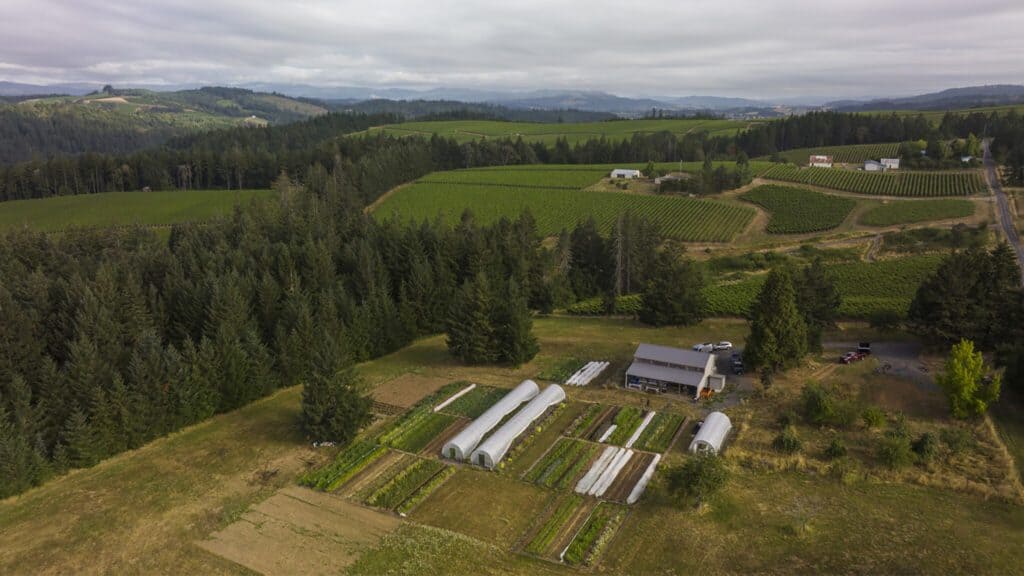 Aerial view of a rural farm landscape showing cultivated fields, greenhouses, and a warehouse, surrounded by dense forests and rolling hills undergoing renewal.