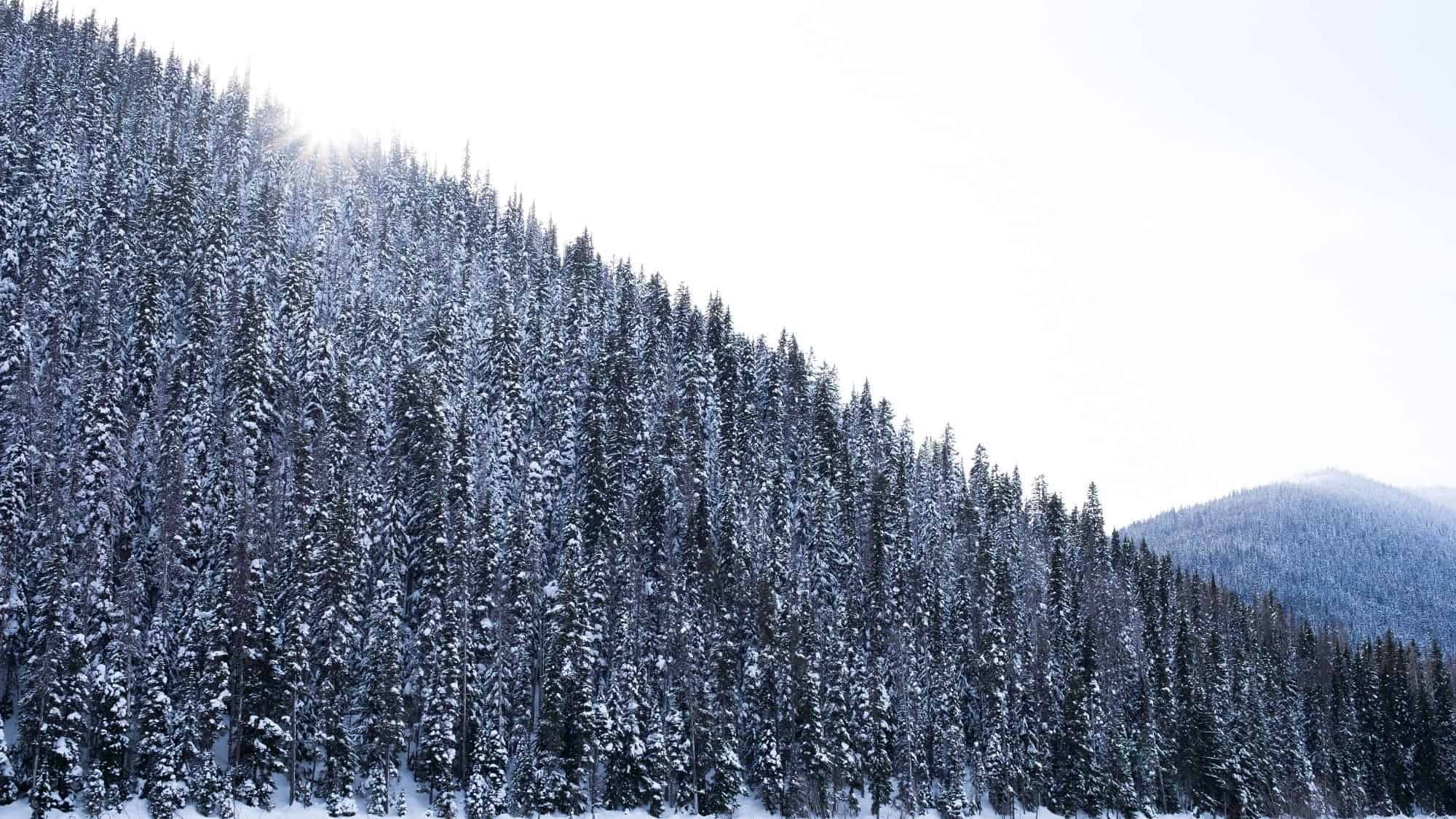 Mountain view of Manning Provincial Park.