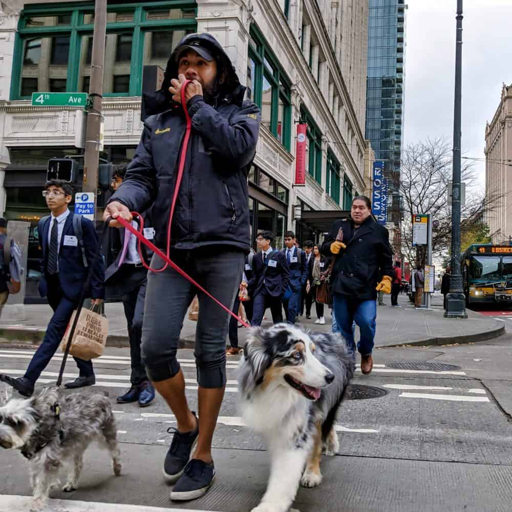 Foot Traffic Rises Again in Downtown Seattle