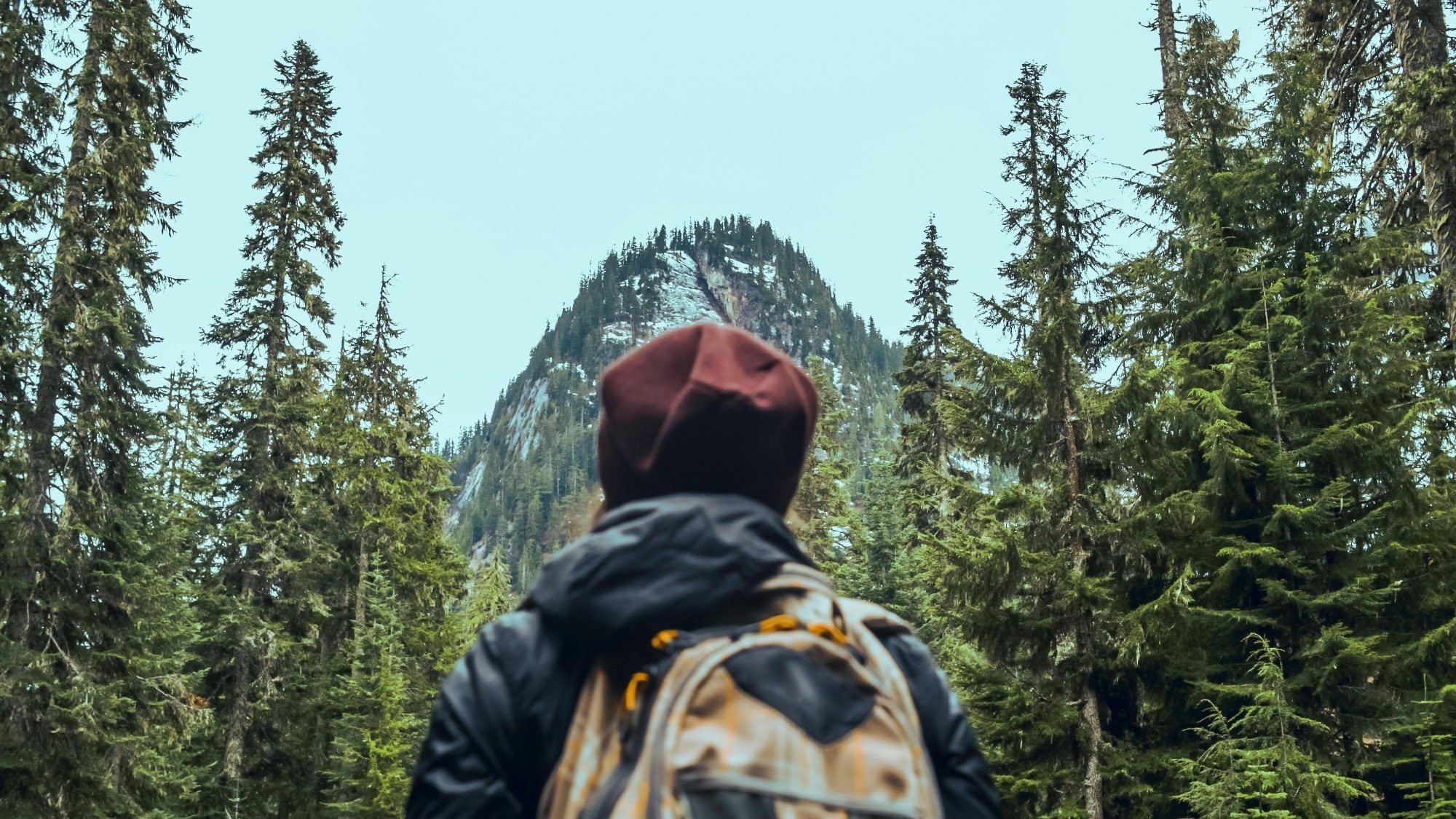 A person wearing a backpack and a burgundy beanie viewing a forested mountain peak in a state park, from a rear perspective.