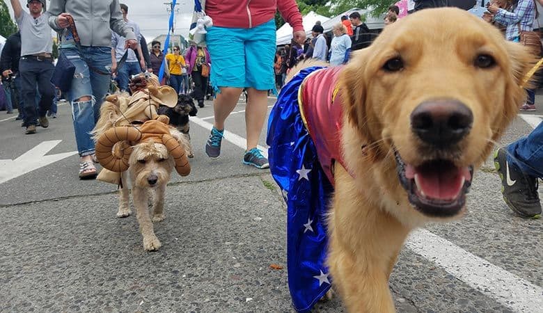 Dog Parade Takes to the Streets of Fremont