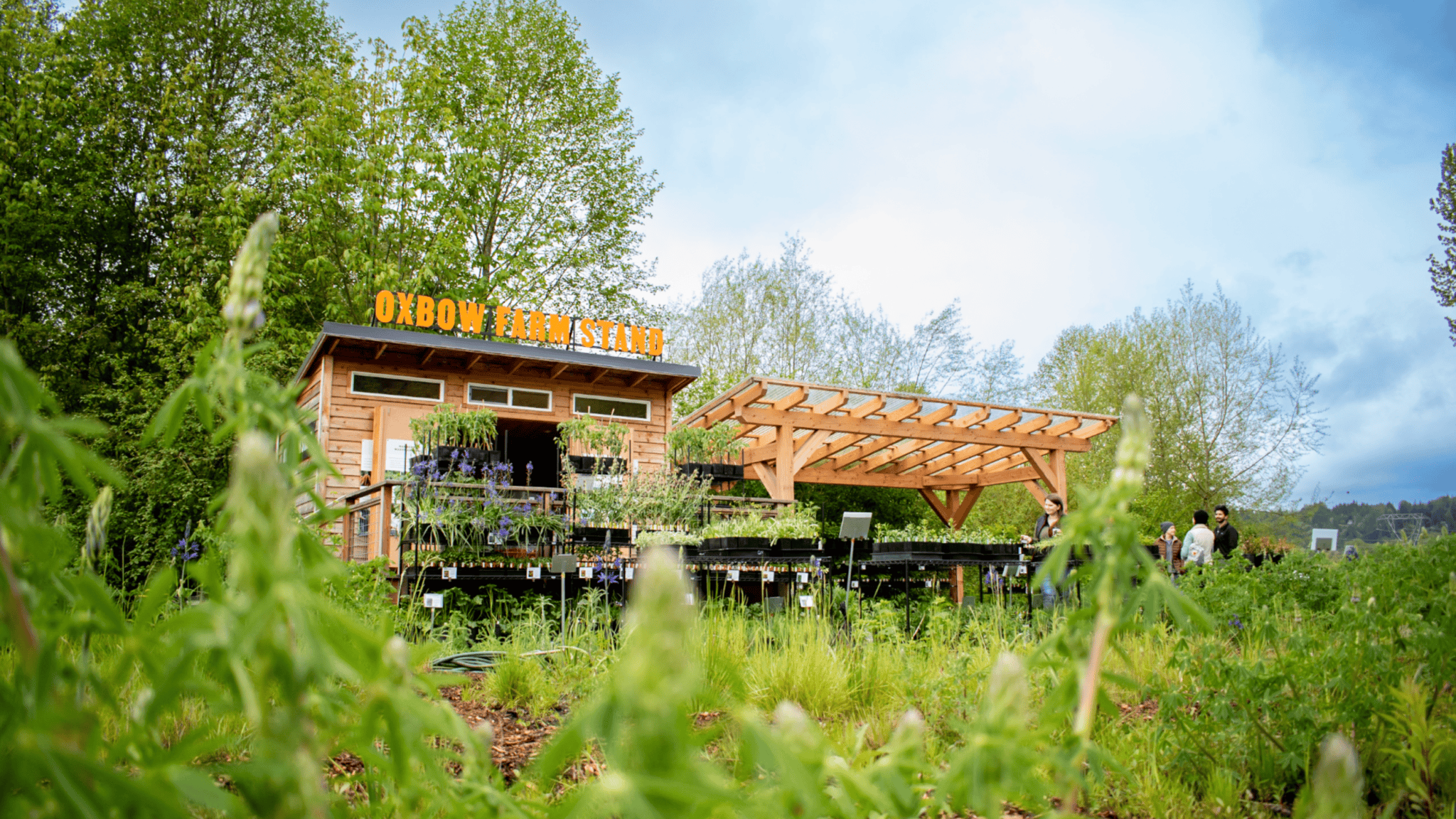 Oxbow Farm Stand